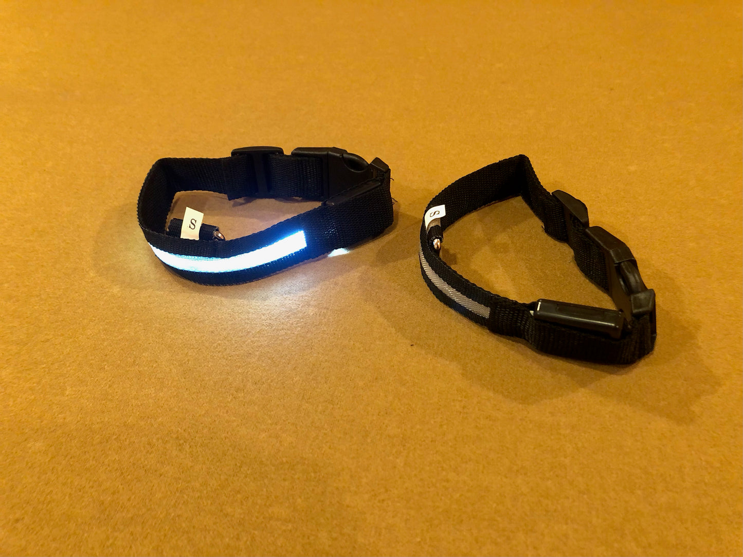 Light Up your Dog's Night with our LED dog collar- BLACK COLOR with WHITE LIGHT