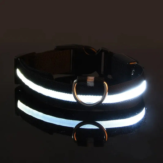 Light Up your Dog's Night with our LED dog collar- BLACK COLOR with WHITE LIGHT